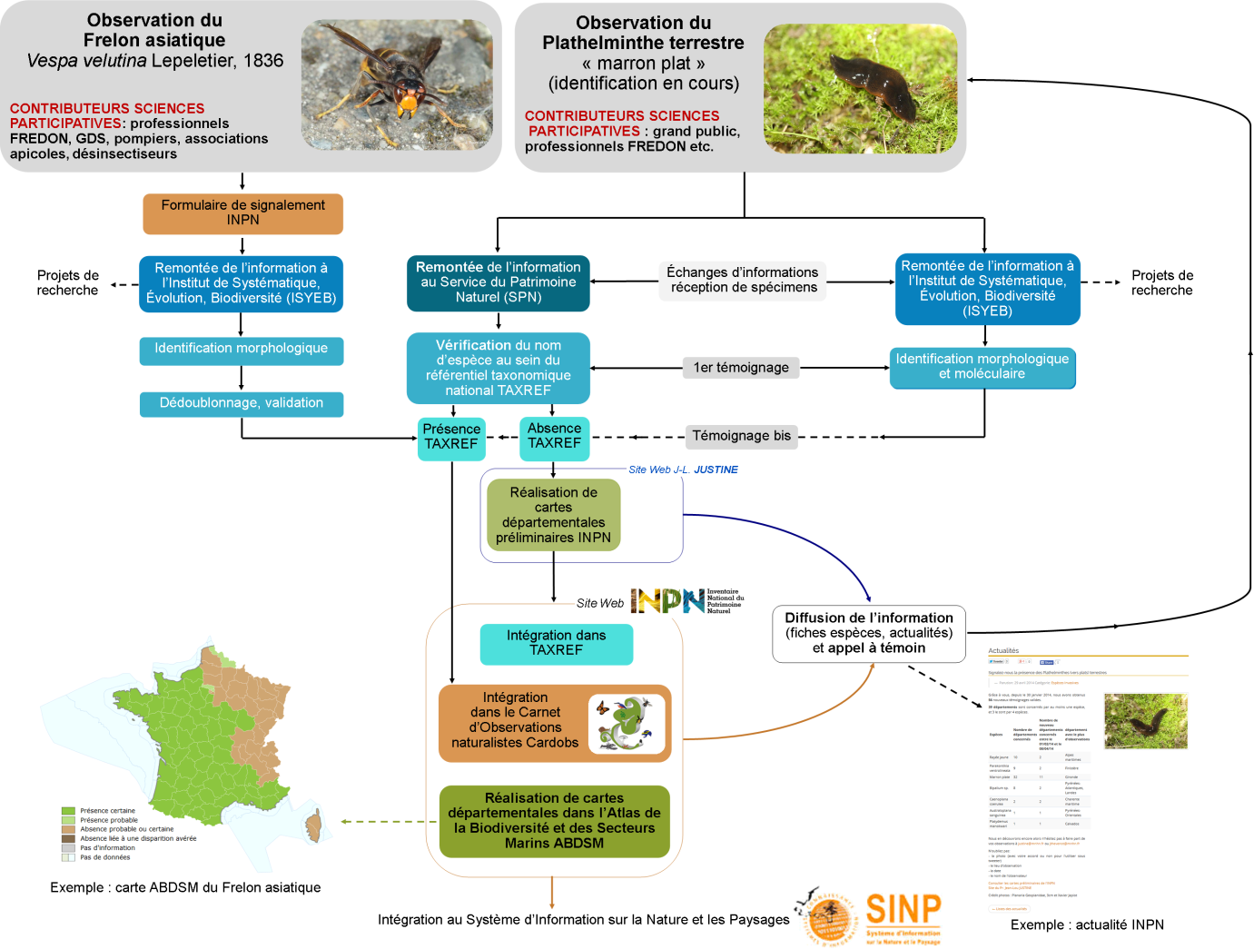 INPN - Espèces Exotiques Envahissantes