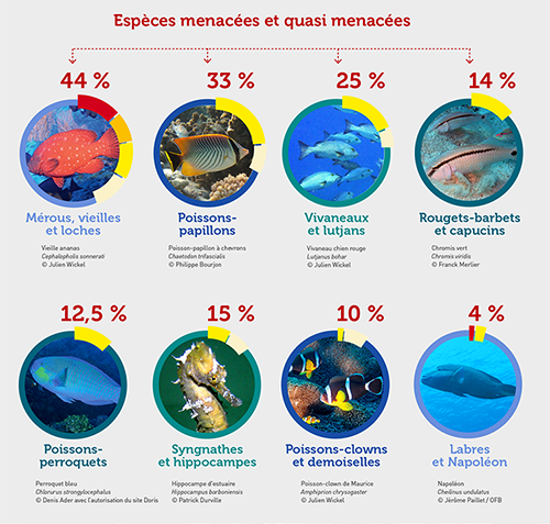 Infographie Liste rouge Poissons récifaux de la Réunion Espèces menacée