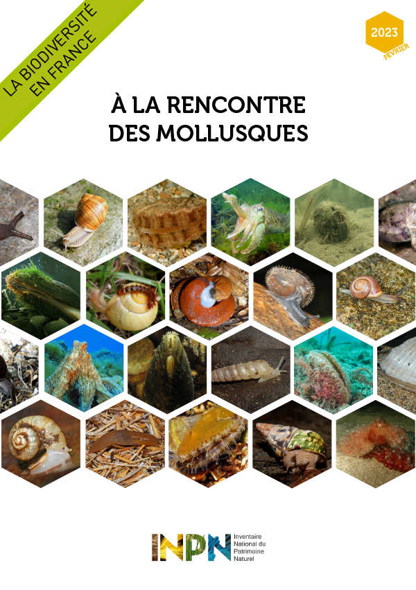 La biodiversité en France - À la rencontre des Mollusques (2023) (french)
