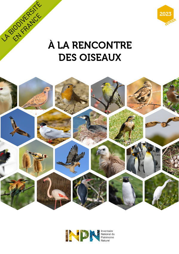 La biodiversité en France - À la rencontre des Oiseaux (2023) (french)
