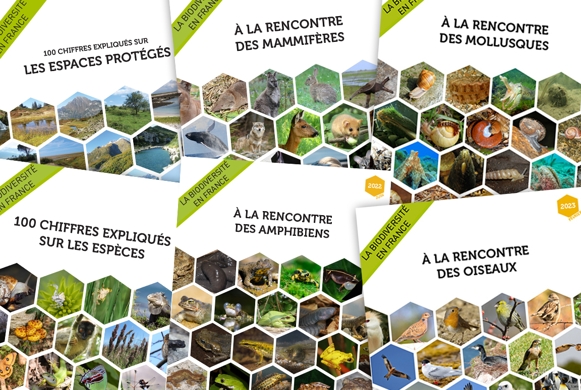 La biodiversité en France - Collection 100 chiffres expliqués - Collection À la rencontre