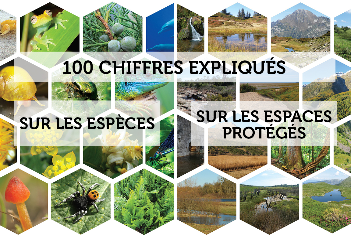 La biodiversité en France - 100 chiffres expliqués sur les espèces (2020) et sur les espaces protégés (2019)