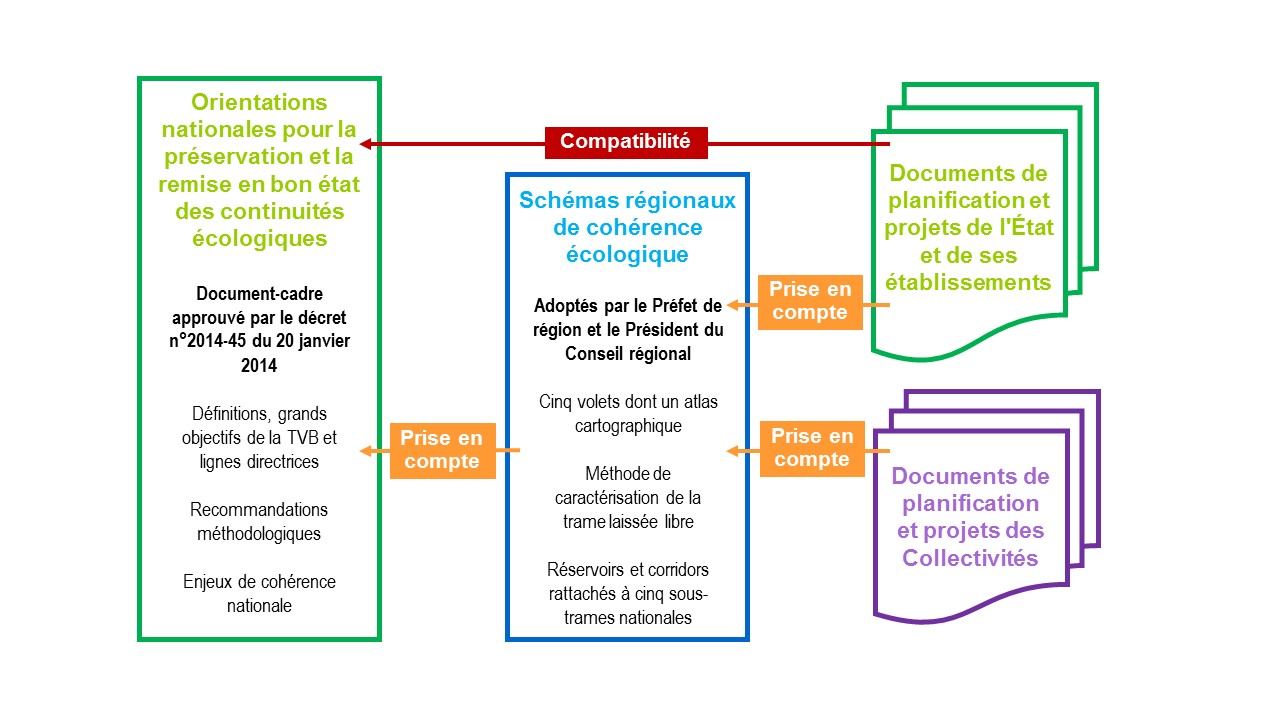 Figure 3 : Les différents échelons territoriaux de mise en œuvre de la TVB et leur lien d’opposabilité (© UMS PatriNat)