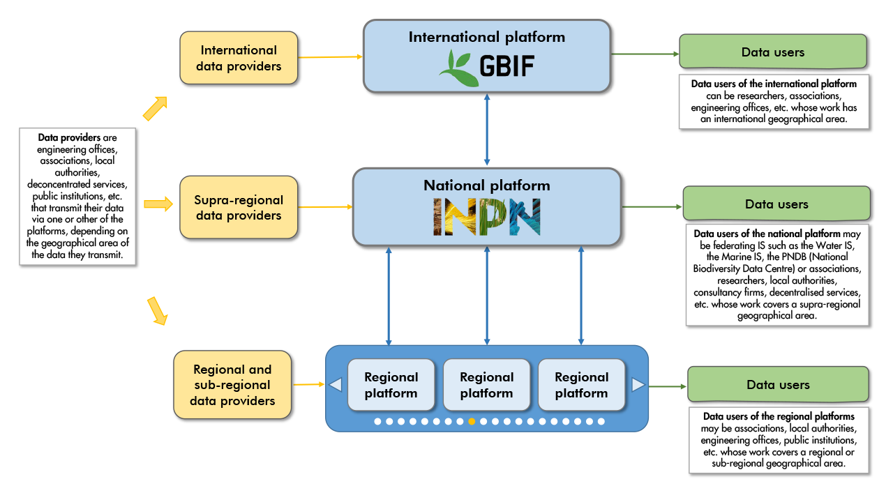 Simplified SINP architecture as regards data exchange