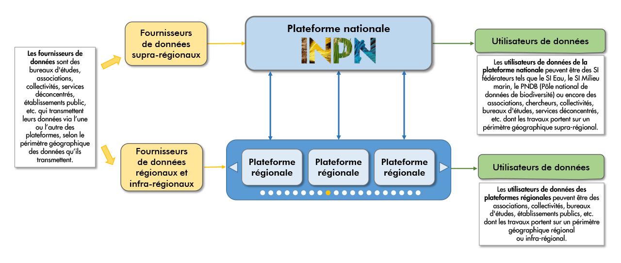 Schéma simplifié de l'architecture du SINP relatif à la circulation des données