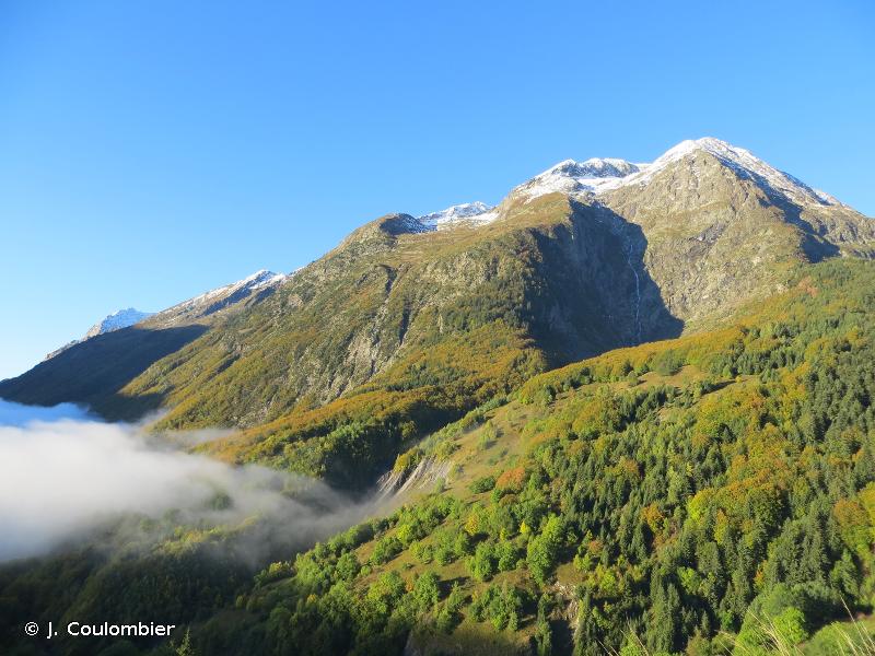 Forêts, landes et prairies de fauche des versants du Col d'Ornon