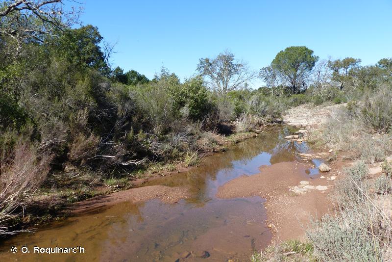 24.1 - Lits des rivières - CORINE biotopes