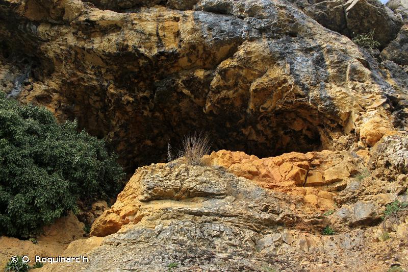 H1 - Grottes, systèmes de grottes, passages et plans d'eau souterrains terrestres - EUNIS