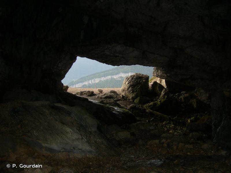 H1.1 - Entrées des grottes - EUNIS