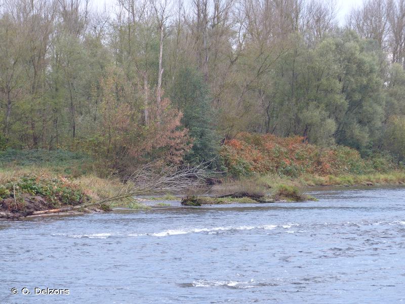 Fleuve Loire et annexes fluviales de Grangent à Balbigny