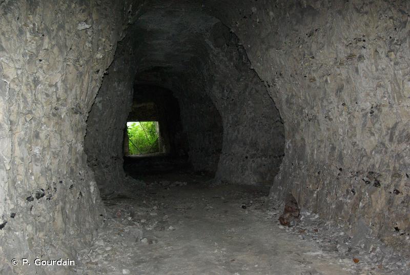 88 - Mines et passages souterrains - CORINE biotopes