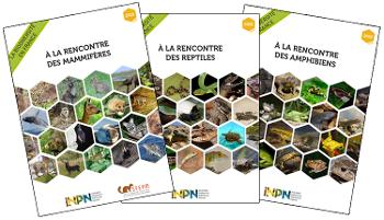 Trois nouveaux livrets thématiques sur la biodiversité française (Mammifères, Reptiles, Amphibiens)