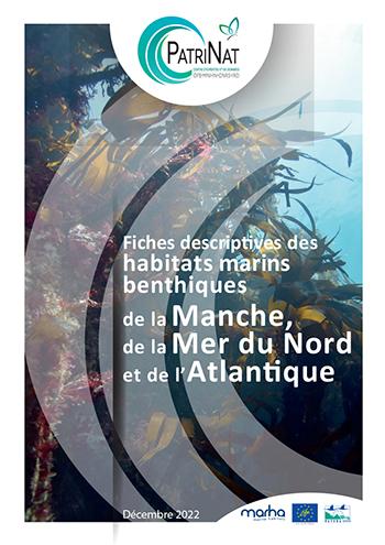 Les habitats marins benthiques de métropole ont enfin leurs papiers d’identité (Fiches descriptives des habitats marins benthiques de la Manche, de la Mer du Nord et de l’Atlantique)