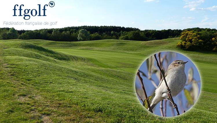 Golf national à Saint-Quentin-en-Yvelines © Océane Roquinarc’h - Pouillot véloce (Phylloscopus collybita) © Stanislas Wroza