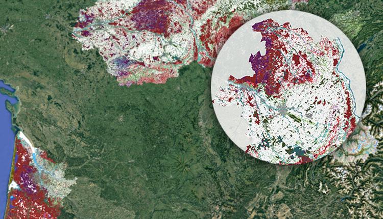 Carte modélisée des habitats naturels et semi-naturels du département du Cher selon une légende simplifiée © INPN