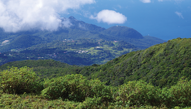 Parc national de la Guadeloupe © O. Delzons