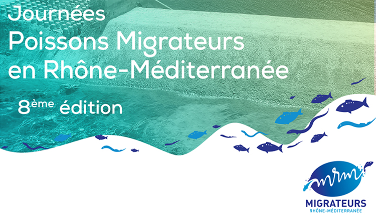 Journées Poissons migrateurs en Rhône-Méditerranée © JPMRM