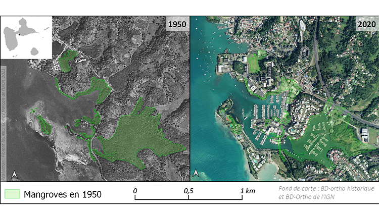 Mangrove de Bas-du-Fort en 1950 et 2020 © Pôle-relais Zones humides tropicales