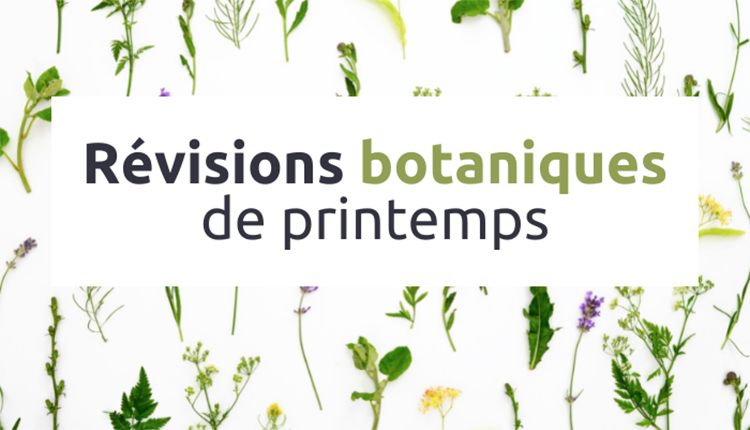 Visuel Révisions botaniques de printemps © Tela Botanica