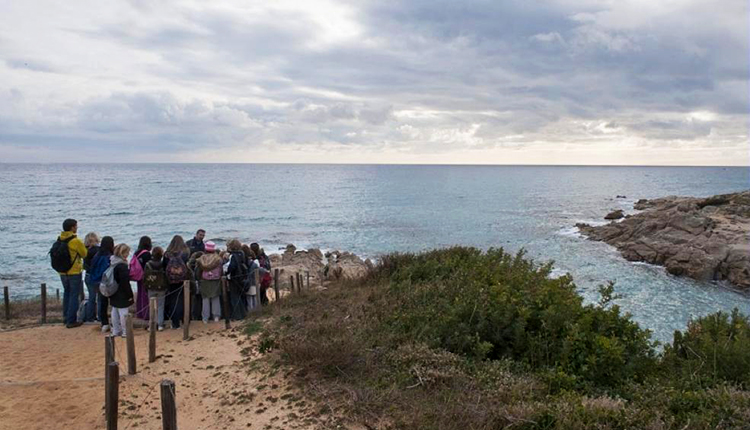 Sensibilisation des scolaires © Laurent Mignaux- / Terra