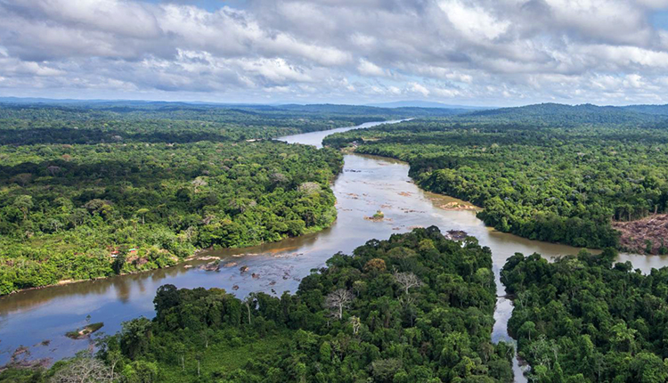 Vue aérienne sur le territoire du Parc national © Guillaume Feuillet, Parc amazonien de Guyane