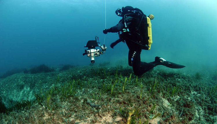 Plongeur effectuant un suivi sur un herbier © Antonin Guilbert / Office français de la biodiversité