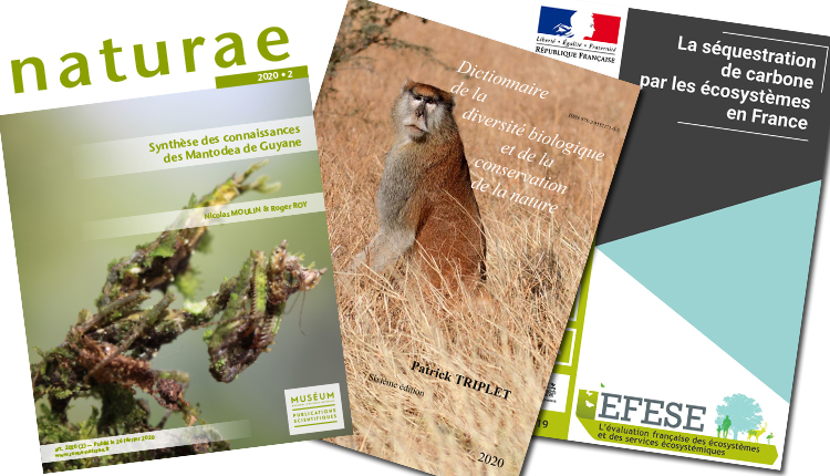 Publications Janvier 2020