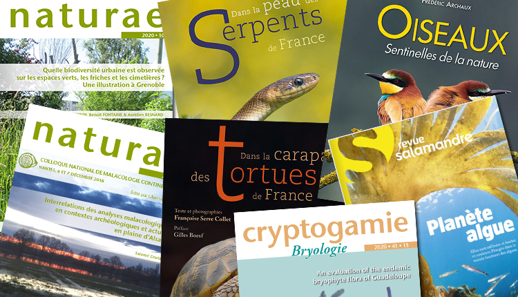 Publications octobre 2020