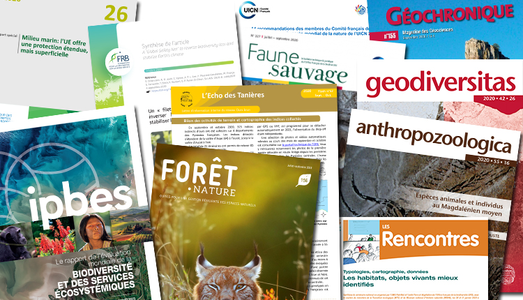 Publications novembre 2020