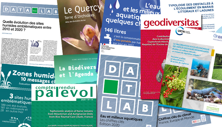 Publications décembre 2020