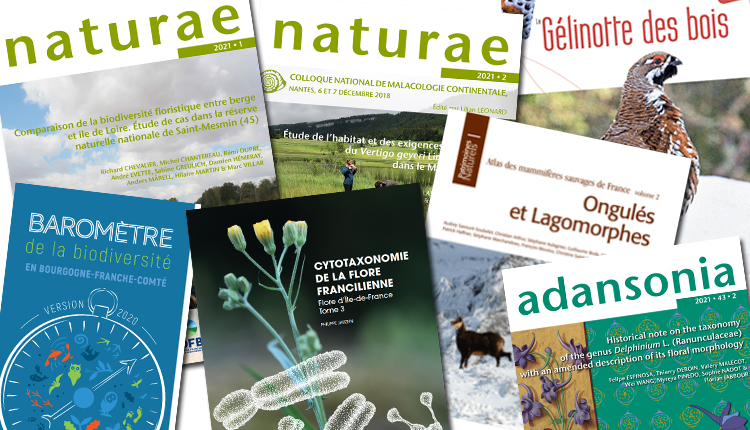 Publications janvier 2021