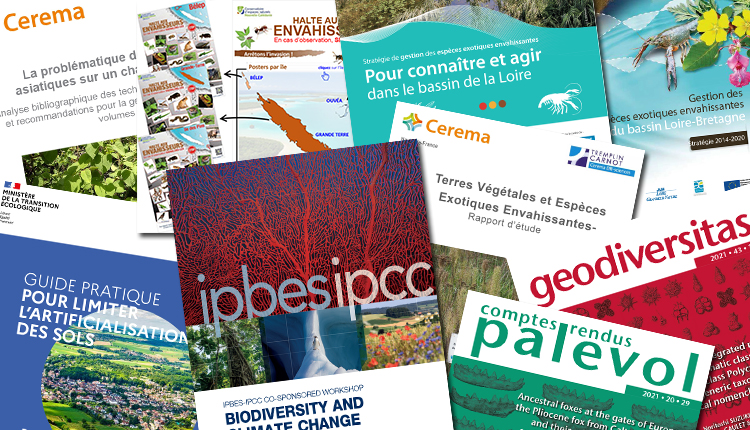 Publications Juillet 2021