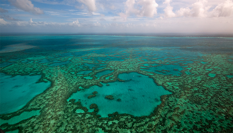 Récifs coralliens © ICRI Forum DR