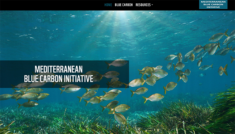site Mediterranean Blue Carbon Initiative