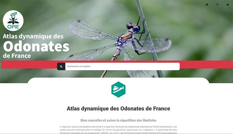 Atlas dynamique des Odonates de France © OPIE