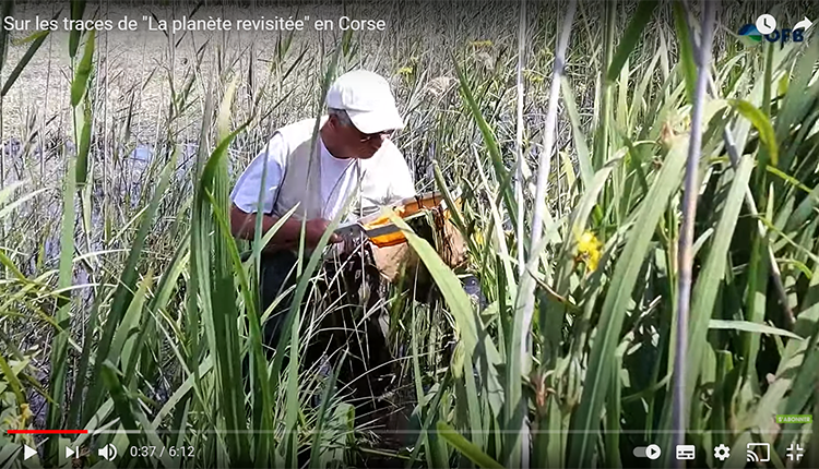 Sur les traces de La planète revisitée en Corse. Comment sont élaborés les grands inventaires naturalistes ? À quoi servent les données ? © OFB