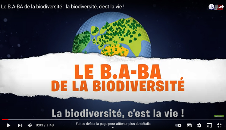 Le B.A-BA de la biodiversité : la biodiversité, c'est la vie © OFB