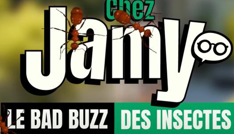 Jamy, le bad buzz des insectes © DR