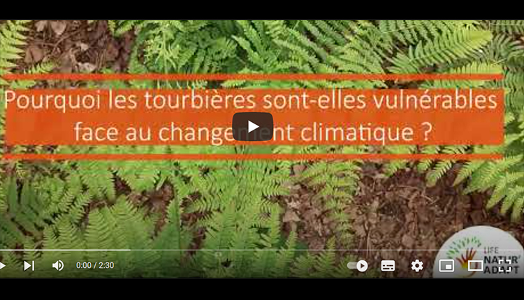 Les effets du changement climatique dans la réserve naturelle régionale des Tourbières du Morvan © Natur'Adapt LIFE