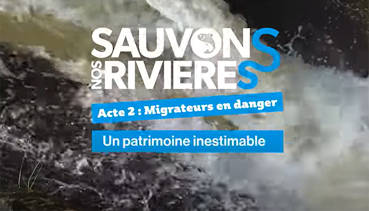 Sauvons nos rivières © Fédération Nationale de la Pêche en France
