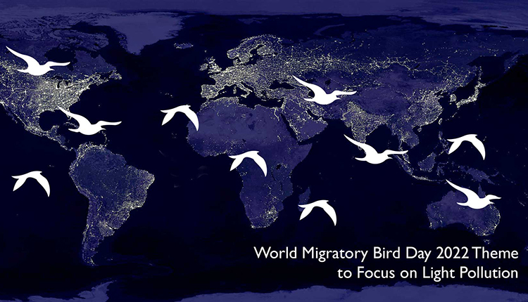 Poster 2022 La pollution lumineuse au centre des débats © World migratory bird day